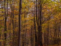 Beskid Niski